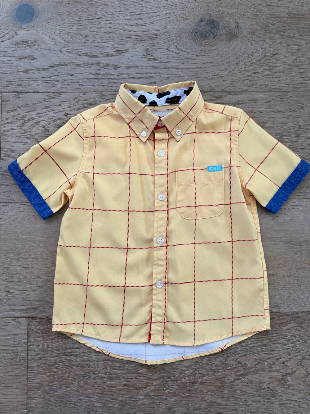 RSVLTS Disney Pixar Toy Story Sheriff Woody toddler size 2